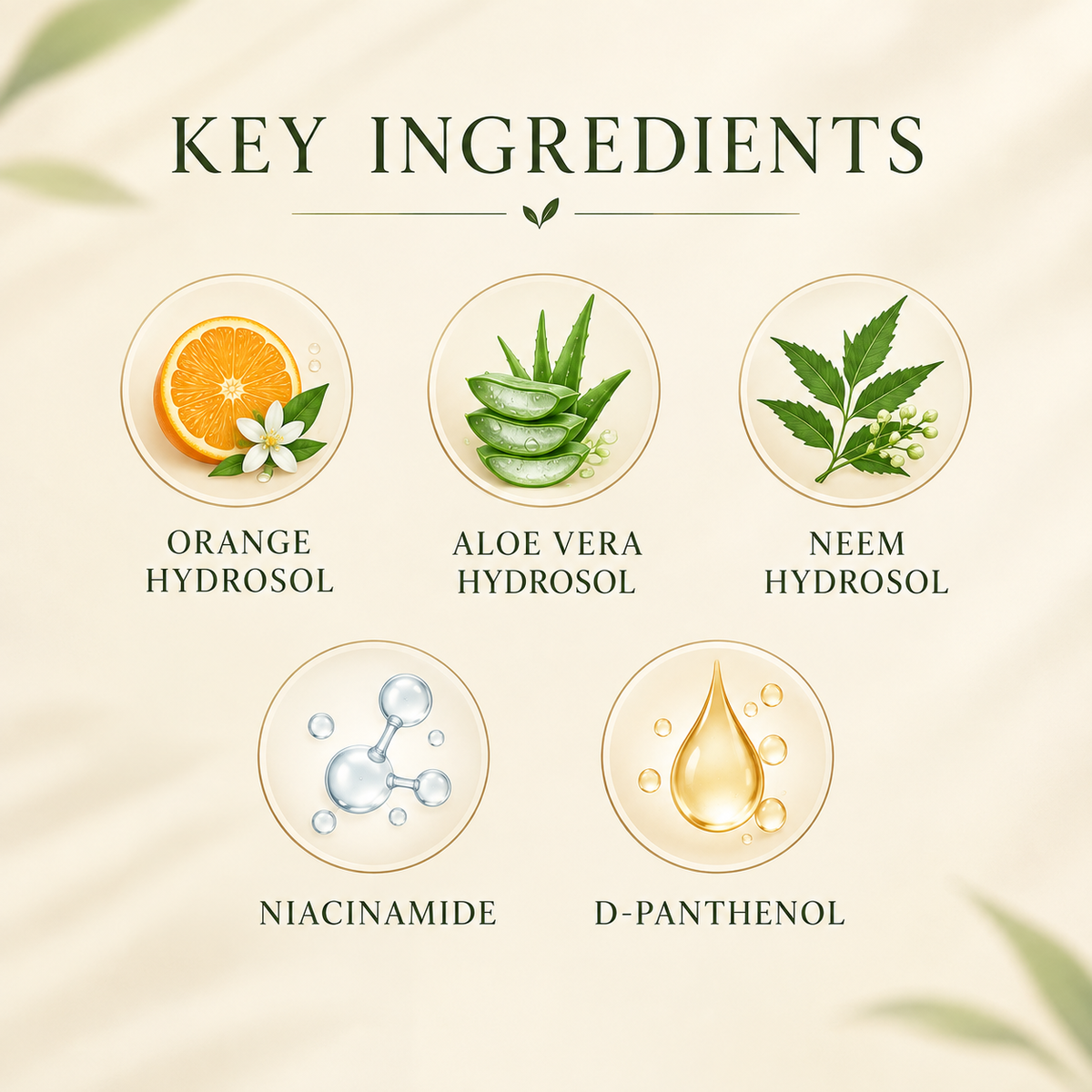 Product detail image for Tangerine Body Wash Refreshing Citrus Cleanse by 6M Veyra